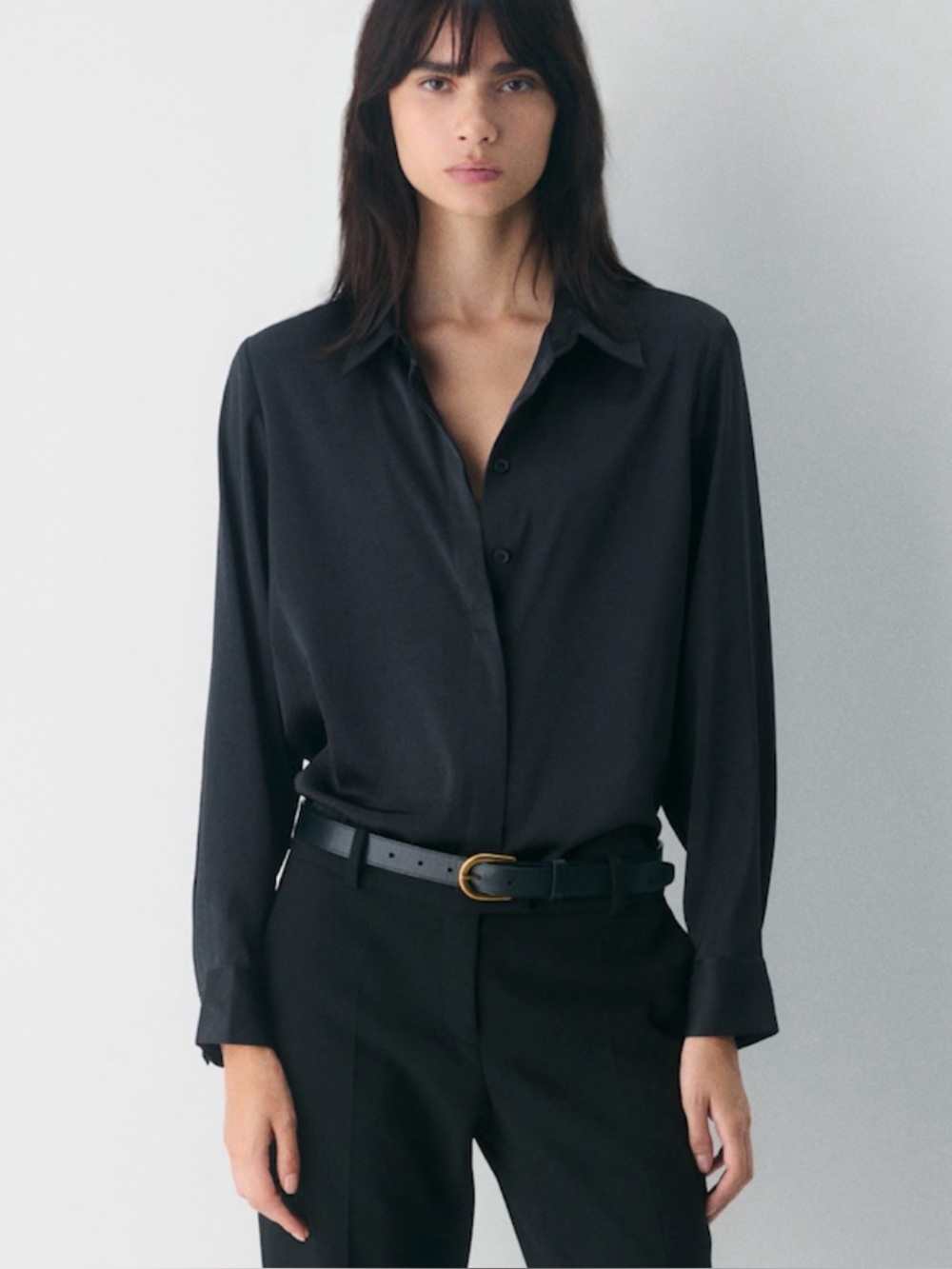 Aritzia Long-Sleeve Silk Button Down